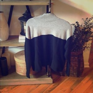 Everlane Cashmere Square Turtleneck